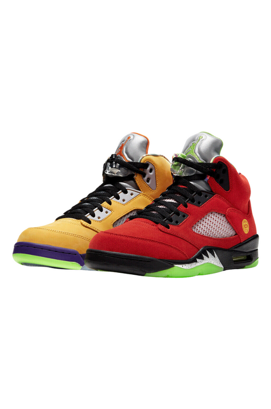 Air Jordan 5 Retro SE